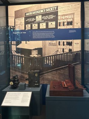 New Haven, Connecticut 'taki Yale Peabody Müzesi' nde 3 Mayıs 2025 'te görüldüğü gibi..