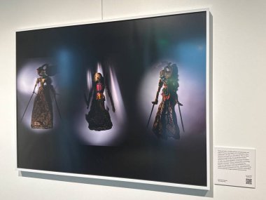 New Haven, Connecticut 'taki Yale Peabody Müzesi' nde 3 Mayıs 2025 'te görüldüğü gibi..