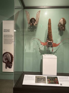 New Haven, Connecticut 'taki Yale Peabody Müzesi' nde 3 Mayıs 2025 'te görüldüğü gibi..