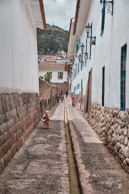 Lama, Peru, Cusco 'da dar bir kaldırımda..