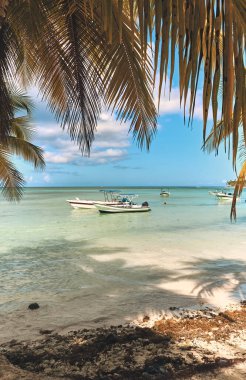 Karayipler 'deki Saona adasının açığında bir tekne. Yaz manzarası.