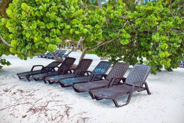 Kumsalda, ağacın altında boş güneşlikler..