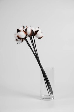 Bouquet of cotton in a vase on a white background.
