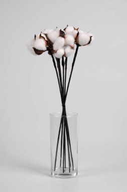 Bouquet of cotton in a vase on a white background.