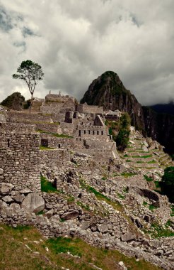 Machu Picchu. Peru 'nun ünlü simgesi. Dağ manzarası.