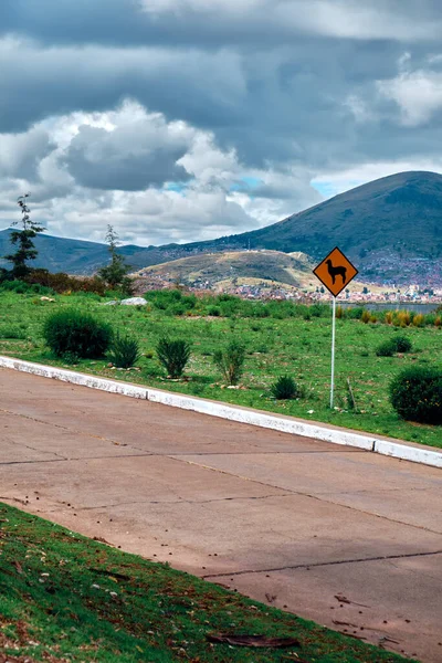 秘鲁Titicaca湖附近带有美洲驼的路标 免版税图库照片