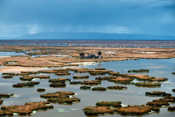 Берег Озера Тітікака Перу Ландшафт Стокове Зображення