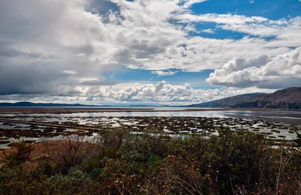 Берег Озера Тітікака Перу Ландшафт Ліцензійні Стокові Фото