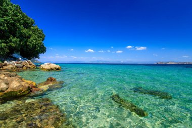 Turkuaz denizden güzel bir manzara. Tarsanas Sahili, Thassos, Yunanistan