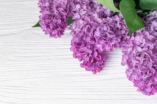ブルーミングライラックの花 シリンガ ヴァルガリス 白い素朴な木製のテーブル コピースペース付きトップビューバナー — ストック写真