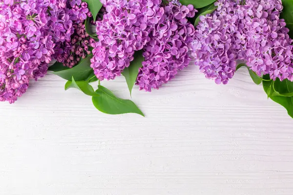 ブルーミングライラックの花 シリンガ ヴァルガリス 白い素朴な木製のテーブル コピースペース付きトップビューバナー — ストック写真