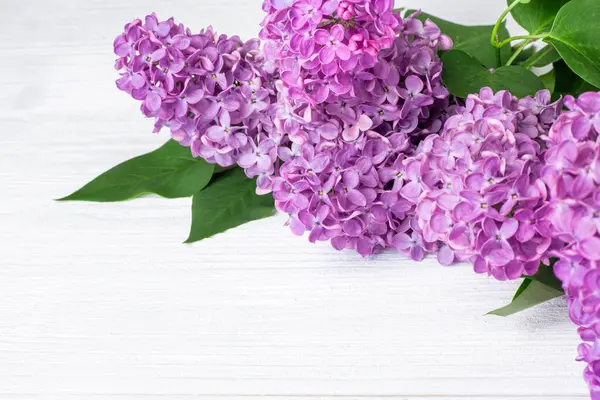 Fleurs Lilas Fleuries Syringa Vulgaris Sur Table Bois Rustique Blanc — Photo