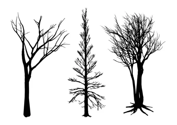 收集详细的冬树剪影 — 图库矢量图片