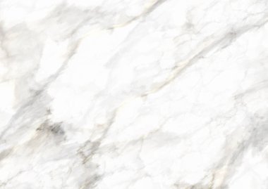 Elegant background with a detailed marble texture 