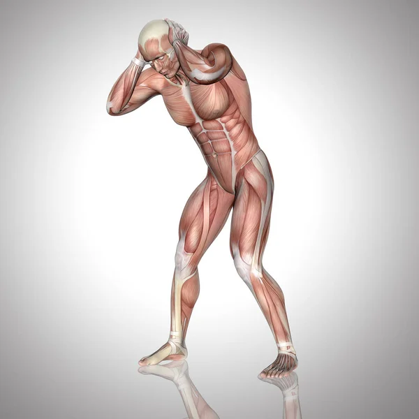 一个男性形象的3D渲染与肌肉图保持头部疼痛 — 图库照片