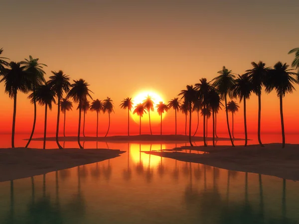Renderowanie Palmowego Krajobrazu Przeciw Zachodzącemu Niebu — Zdjęcie stockowe