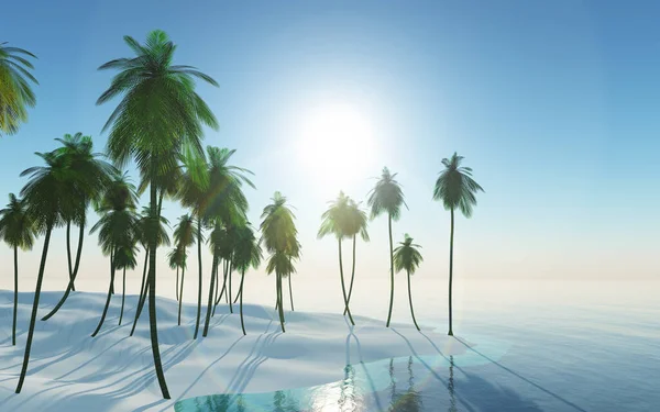 Palmiye Ağacı Adalı Bir Manzaranın Boyutlu Görüntüsü — Stok fotoğraf
