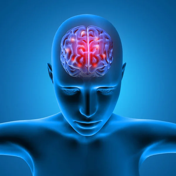 Render Medical Female Figure Close Head Brain Highlighted — Stock Photo, Image