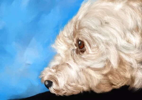 Λεπτομερές Ζωγραφισμένο Στο Χέρι Πορτρέτο Ενός Σκύλου Κανίς — Διανυσματικό Αρχείο
