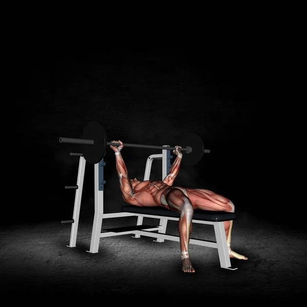 Rendering Einer Männlichen Medizinischen Figur Mit Muskelkarte Hanteltrizepspresse Posiert Grunge — Stockfoto