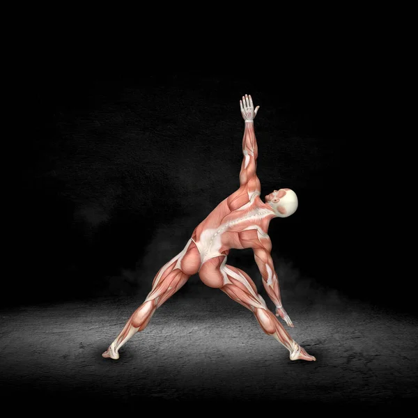 Darstellung Einer Männlichen Medizinischen Figur Mit Muskelkarte Dreieck Pose Grunge — Stockfoto