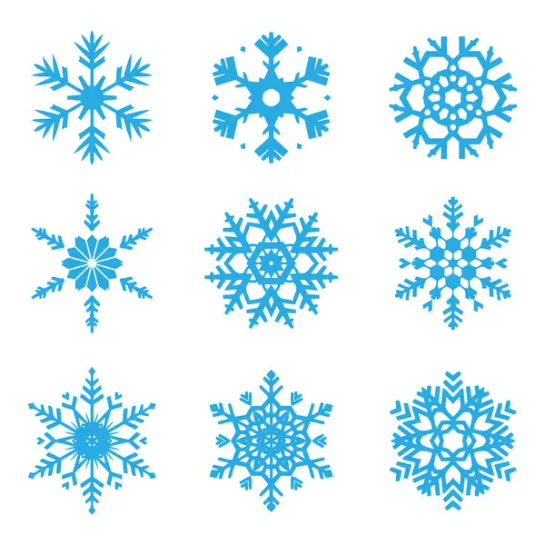 Collection Various Christmas Snowflake Designs — Stock Vector