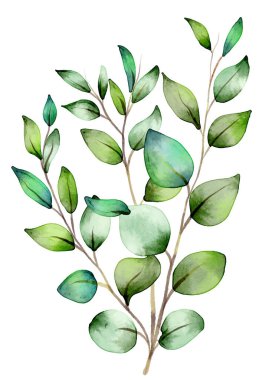 Dekoratif elle boyanmış suluboya yaprak tasarımı 