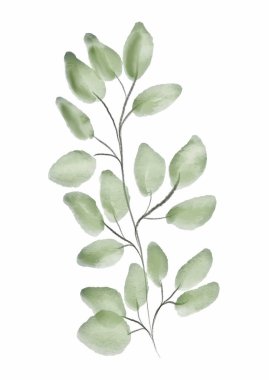 Nazik bir el boyası suluboya yaprak tasarımı