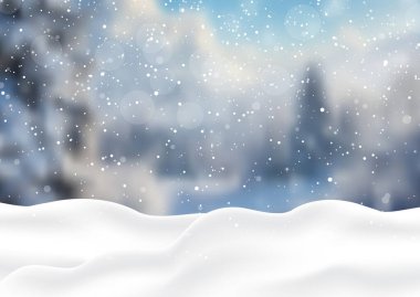 Buzları çözülmüş karlı bir arka planda kış karı