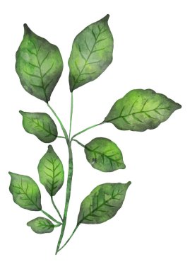 Soyut elle boyanmış suluboya yapraklar tasarım arka planı