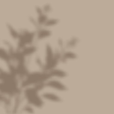 Odaklanmış bitki gölgesi dizaynlı bir arkaplan