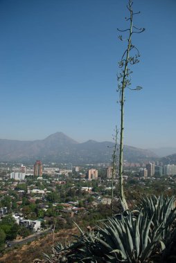 Cerro Calan, Las Condes, Şili