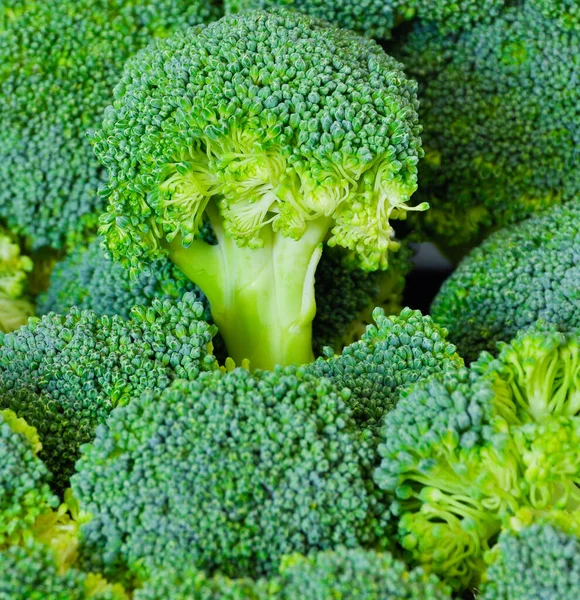 Brócoli Rey Los Antioxidantes — Foto de Stock