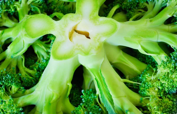 Broccoli Koning Van Antihoxidanten — Stockfoto