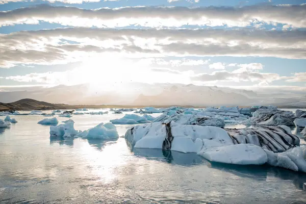 Buzdağları Buzul Gölü 'nde yüzüyor