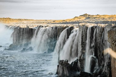 Ruged Landscape 'te Görkemli Şelale
