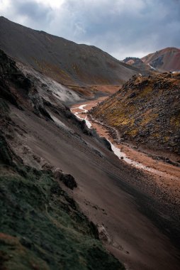 Doğal karşıtlık: koyu renkler ve parlak karşıtlıklar.