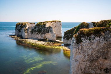 Old Harry Rocks are three chalk formations, including a stack and a stump, located at Handfast Point, on the Isle of Purbeck in Dorset
