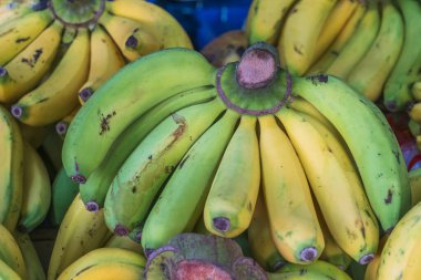 Tayland 'daki Chiang Mai pazarında satılık muzlar.