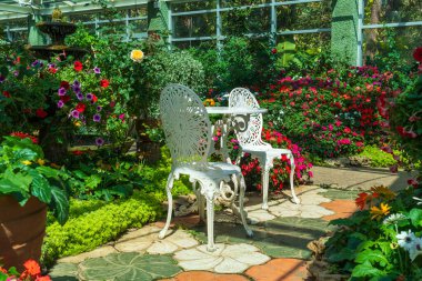 Tayland 'daki Royal Flora Ratchaphruek Bahçesi Chiang Mai