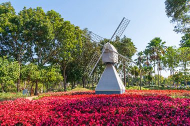 Tayland 'daki Royal Flora Ratchaphruek Bahçesi Chiang Mai