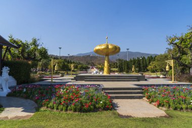 Tayland 'daki Royal Flora Ratchaphruek Bahçesi Chiang Mai