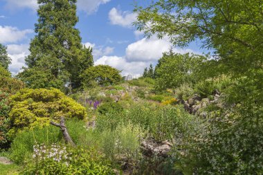 Kelebekli Botanik Bahçeleri ve Danimarka 'da Kopenhag' da Tropikal Palm House