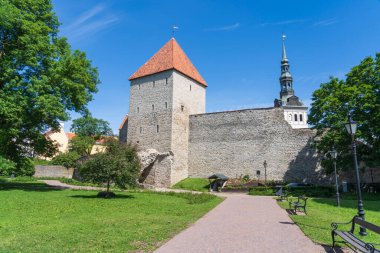 Avrupa 'daki Estonya' nın eski Tallinn kasabası.