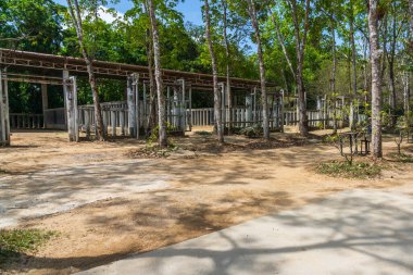 Filler Tayland 'daki Phuket' te sığınaklarına döndüler.