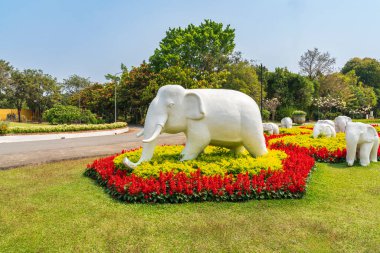 Tayland 'daki Chiang Mai Kraliyet Parkı Rajapruek.