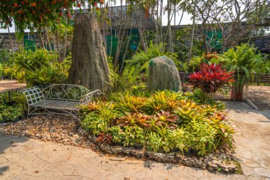 Tayland 'daki Chiang Mai Kraliyet Parkı Rajapruek.