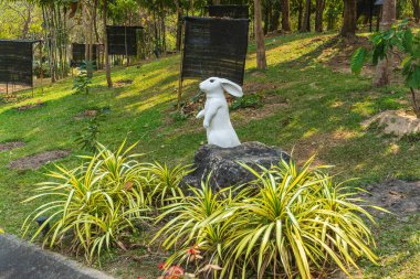 Tayland 'daki Chiang Mai Kraliyet Parkı Rajapruek.