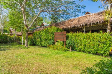 Tayland 'daki Phuket' te bir kurtarma sığınağında huzurevinde.