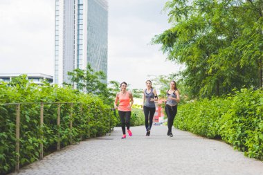 Üç genç sportif kadın açık havada antrenman yapıyor.